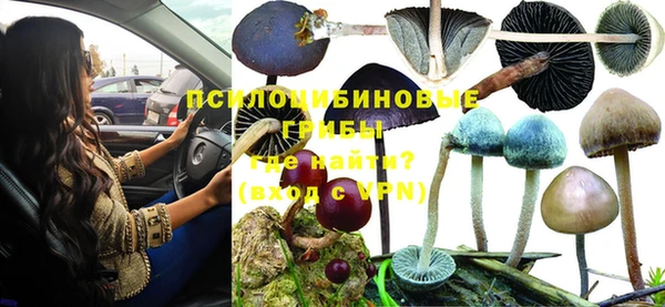 прущие крисы Алексеевка