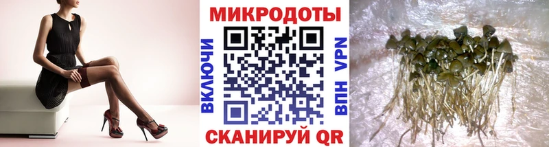 продажа наркотиков  Самара  Галлюциногенные грибы Magic Shrooms 