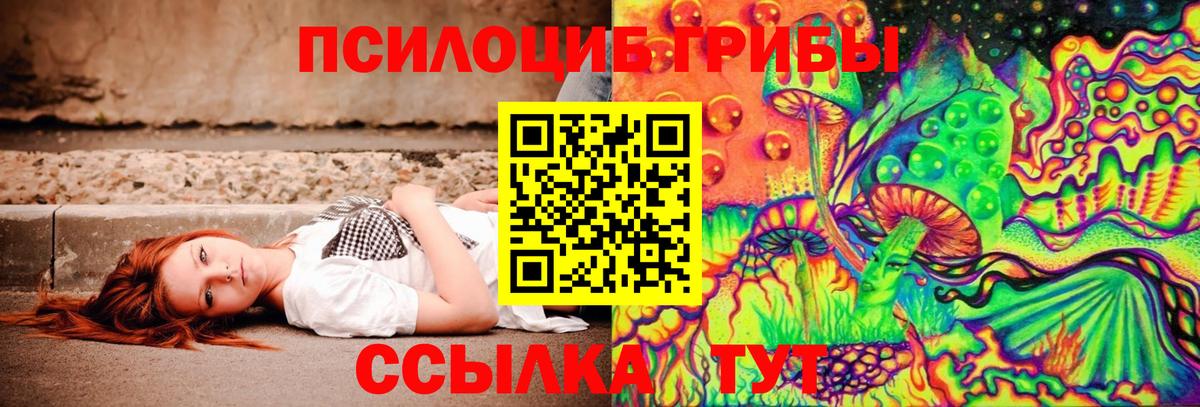 Самара  закладки  Вход с VPN  Галлюциногенные грибы MAGIC MUSHROOMS 